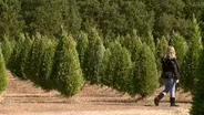 Mike's Farm