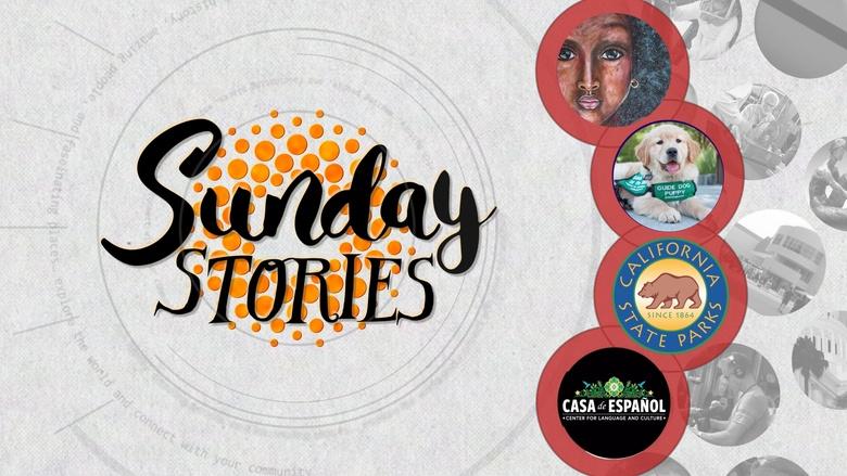 Sunday Stories Image