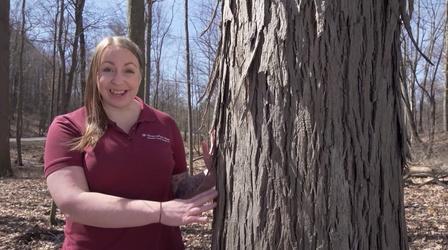 Video thumbnail: Camp TV Take a Nature Walk
