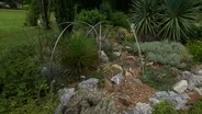 Volunteer Gardener 3511