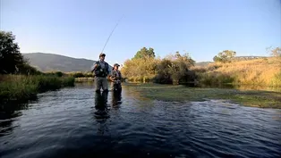 Fly Fishing Draws Tourists to this Montana Cattle Ranch