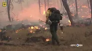 Wildfire Season 2024