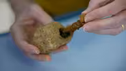 Competing Theories for Nail Found in Heel Bone