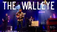 The Walleye