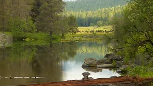 Wood River Photo Essay