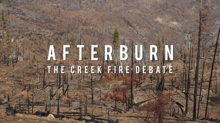 Video thumbnail: American Grown: My Job Depends on Ag Afterburn - The Creek Fire Debate