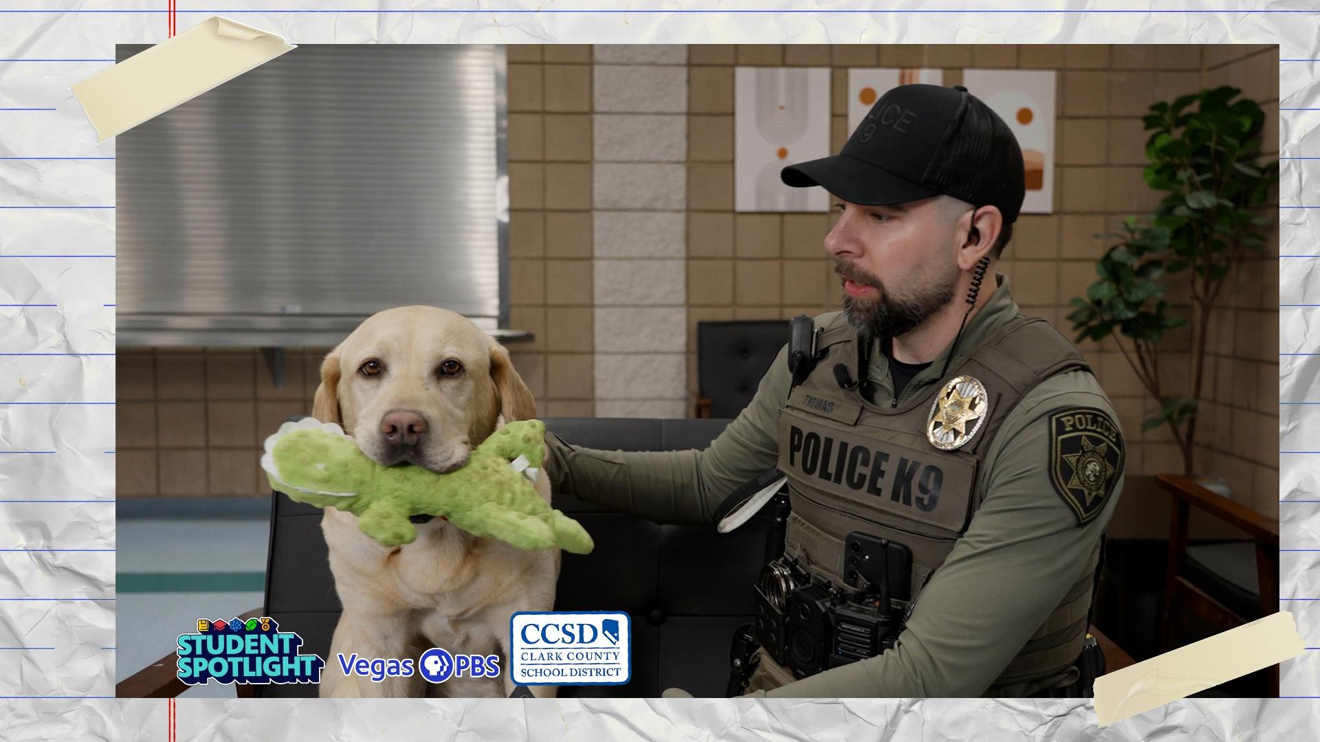 Meet King, a CCSD Police K9 who will retire this summer