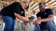 A Visit to the Pandarosa Ranch