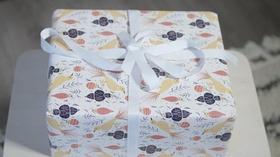 Video thumbnail: Broad and High Illustrator Sarah Moore