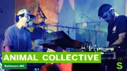 Animal Collective