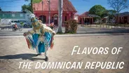 Flavors of the Dominican Republic