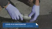 Online Tracker Shows COVID-19 Presence in Wastewater