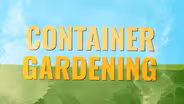 Winter Container Gardening