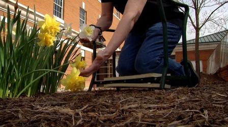 Video thumbnail: Virginia Home Grown Gardening off the ground