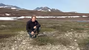 Birch Tundra