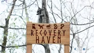 Recovery Haven