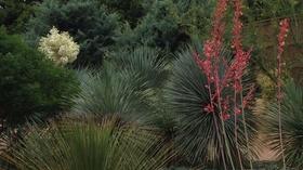 Video thumbnail: Central Texas Gardener How to Select Rainwater Collection Cisterns