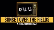 Sunset Over The Fields: A Season Recap