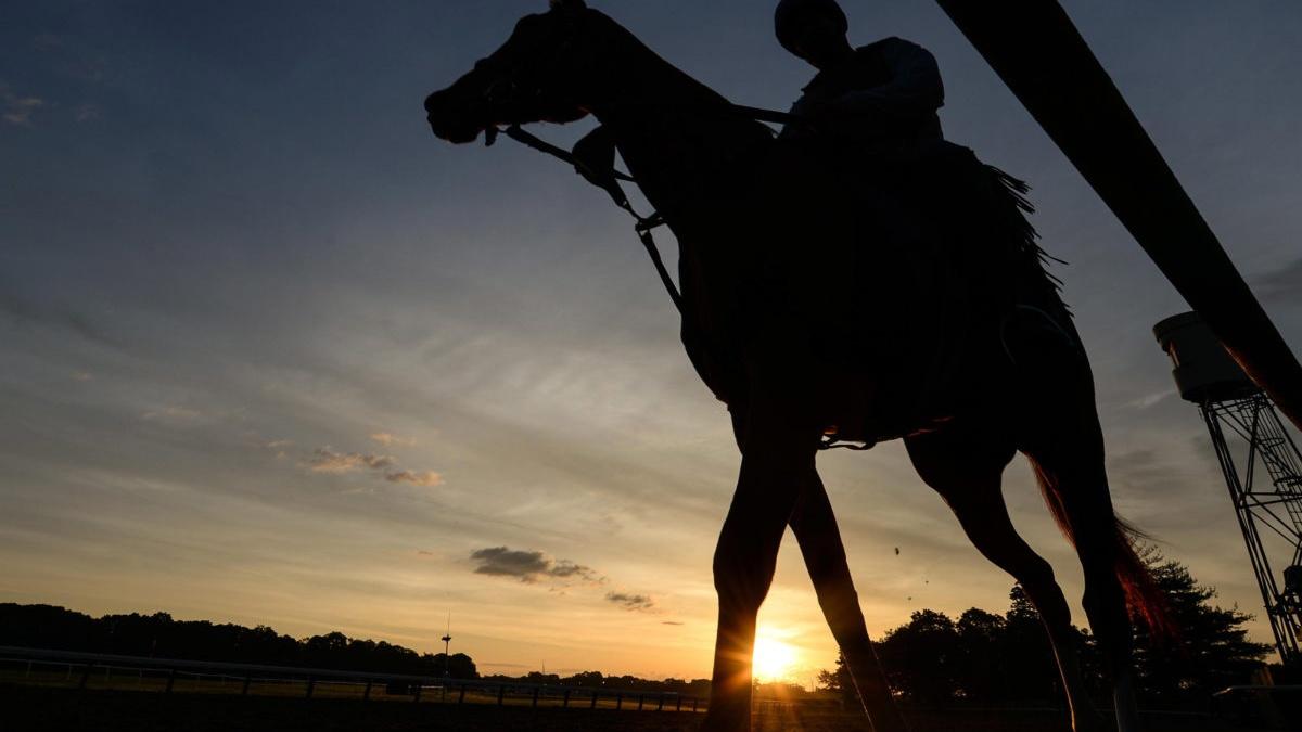 Why horses are dying at U.S. racetracks at an alarming rate PBS