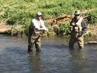 Fishing with a Fly