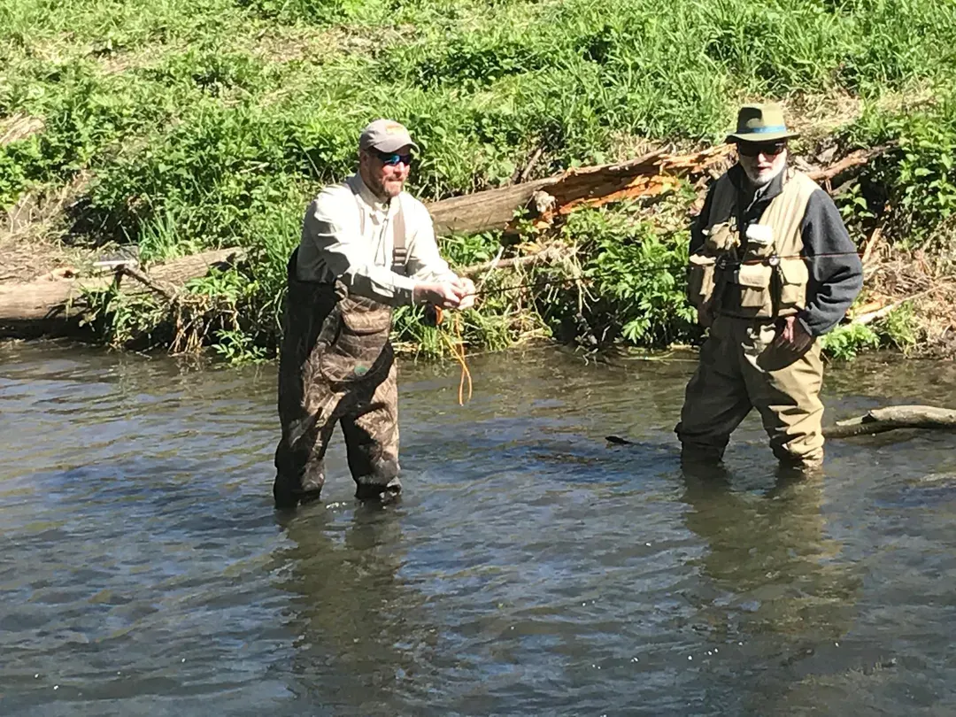 Fishing with a Fly