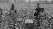 Sharecropping | Aftermath | TN Civil War 150