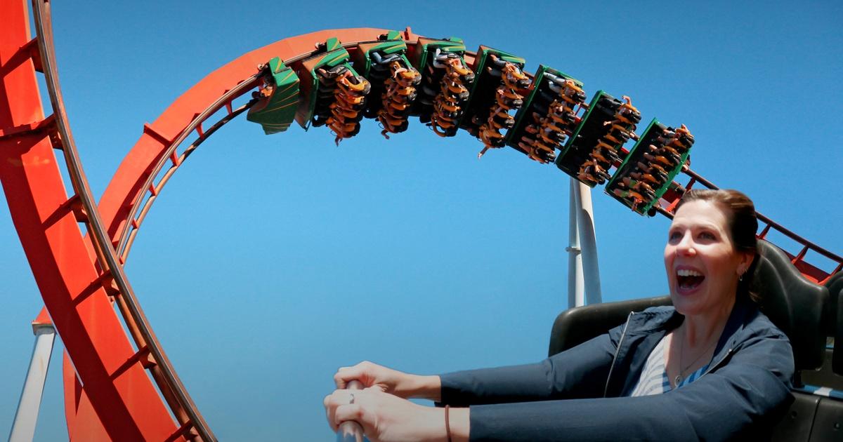 Materials Used in Roller Coasters