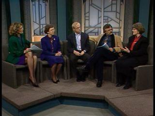 DFL Senate  race