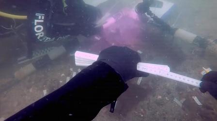 Video thumbnail: WCNY SciTech Now Underwater Discovery, 3D Movies, The Senses & Quirky Science