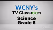 Science Grade 6: 135