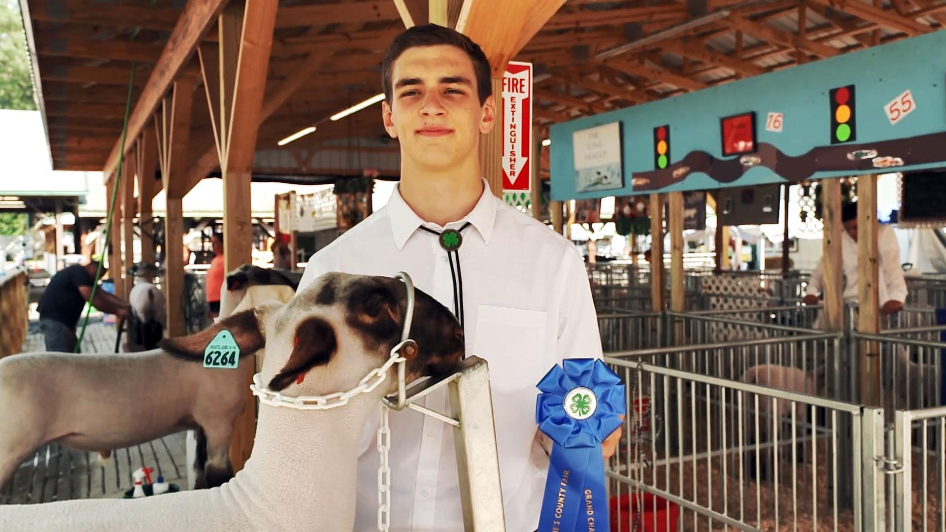 The Kings of 4-H; Maryland's Mushroom Man; Al Visits a Mountain Vineyard.