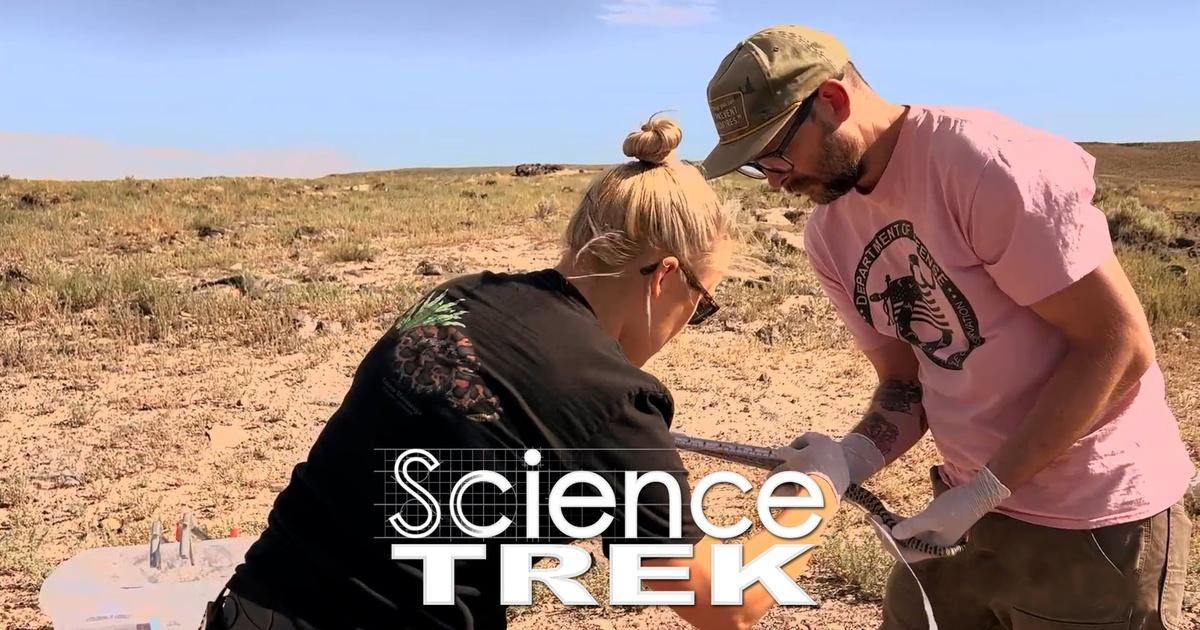 Science Trek | Snakes: Snake Hunters for Science