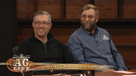 Video thumbnail: Montana Ag Live Farm To Home: Montana Made- Wool (No. 5103)