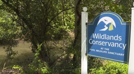 Video thumbnail: WLVT Let's Go! Let's Go Ep:30 Wildland's Conserv., Old Jail Museum & More