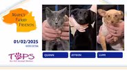 1/2/2025 | Quinn, Jetson and Lumi | Mark’s Furry Friends Extra
