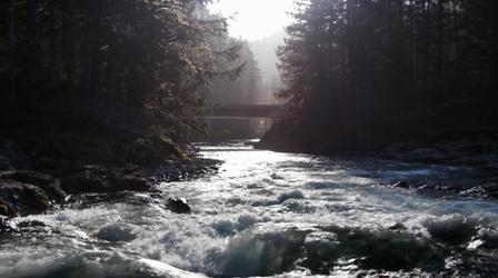 Video thumbnail: Oregon Field Guide Wilson River Photo Essay