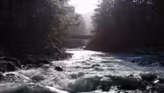 Wilson River Photo Essay