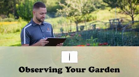 Video thumbnail: Let's Grow Stuff Observing Your Garden