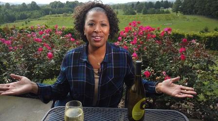 Video thumbnail: North Carolina Weekend Promo for October 22, 2020