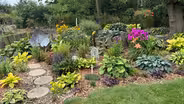 60 Years of Garden Tips