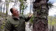 Science in the Forest