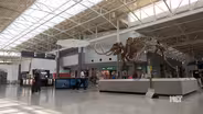 CVG Helping NKY Take Flight