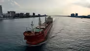 Salty Visitors