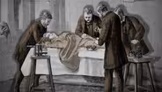 Animated History of Longevity