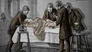 Animated History of Longevity
