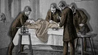 Animated History of Longevity