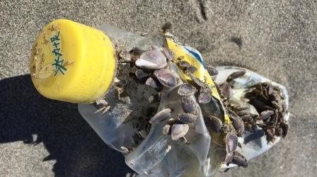 Video thumbnail: Oregon Field Guide Oregon’s Problem With Plastics Special