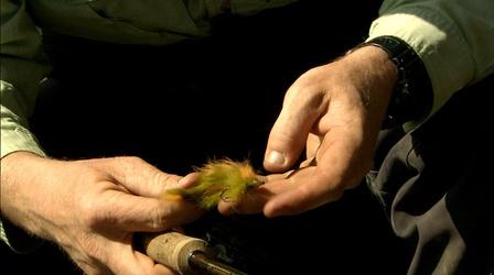Video thumbnail: Carolina Outdoor Journal Gear Time: Our anglers share what fly pattern worked best