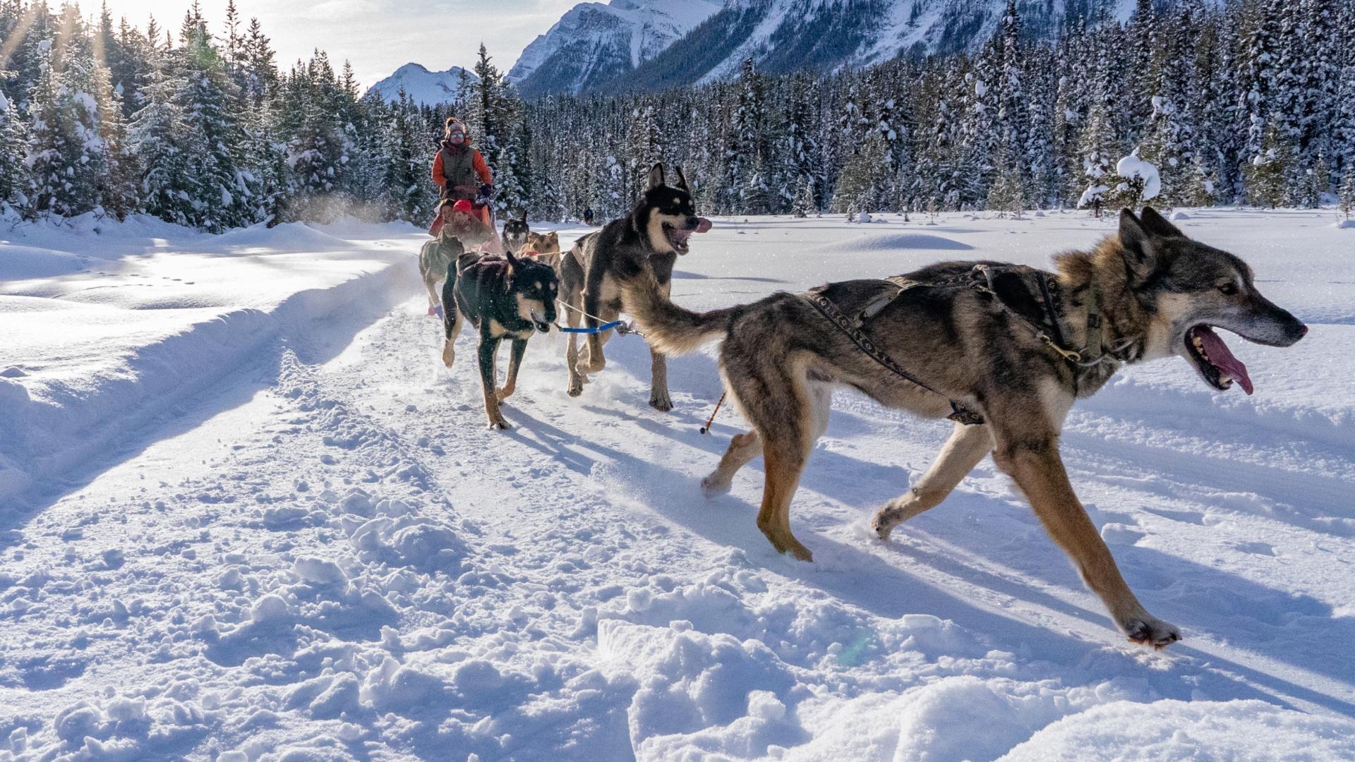 Nick and Emily try some winter activities in Banff and Lake Louise, Canada.