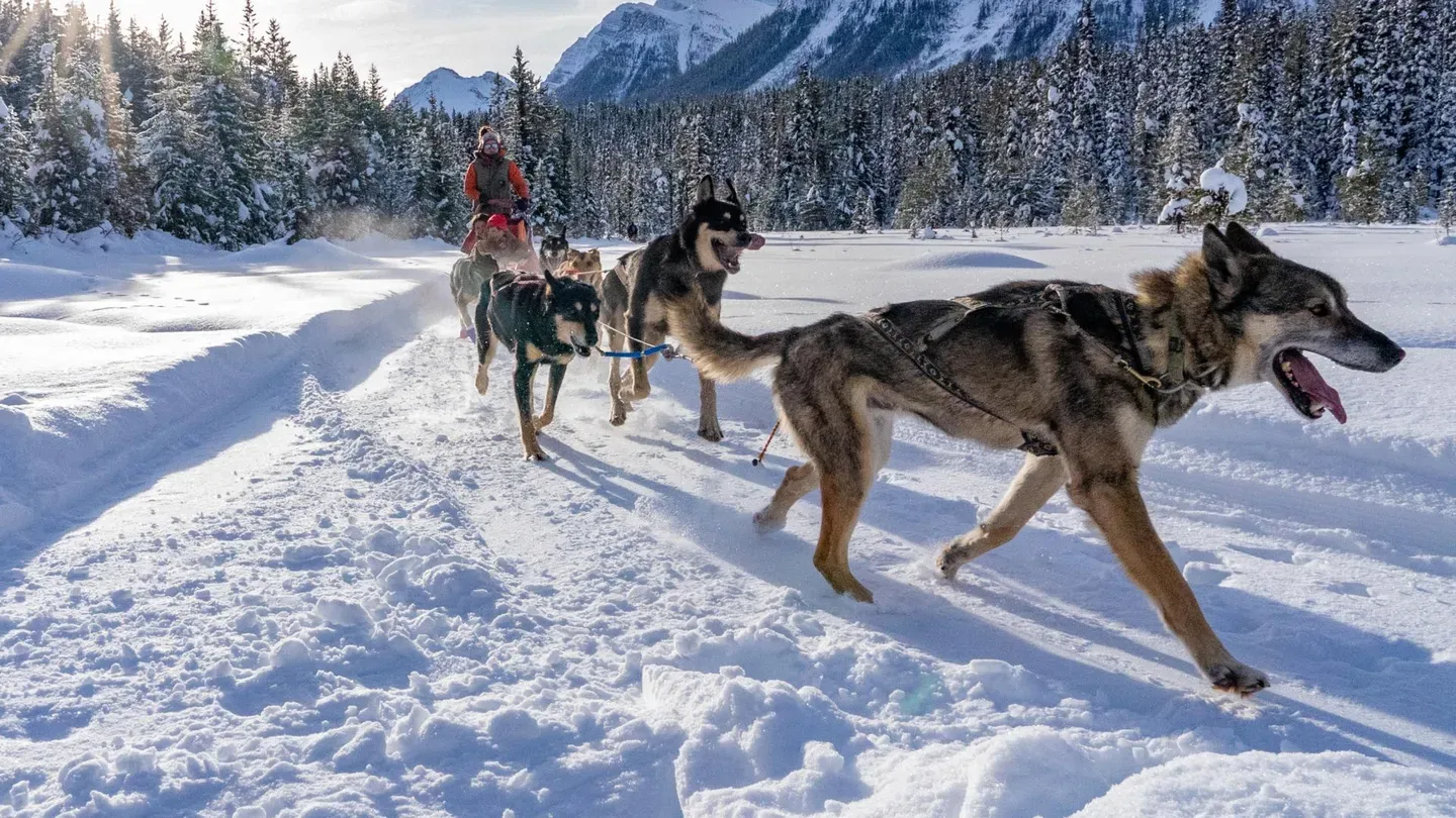 Banff and Lake Louise, Canada
